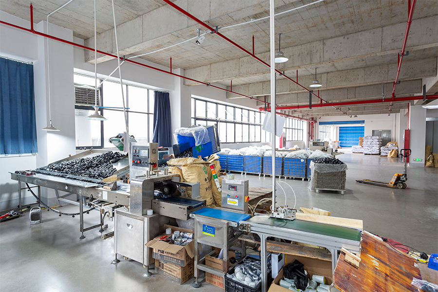 Workshops